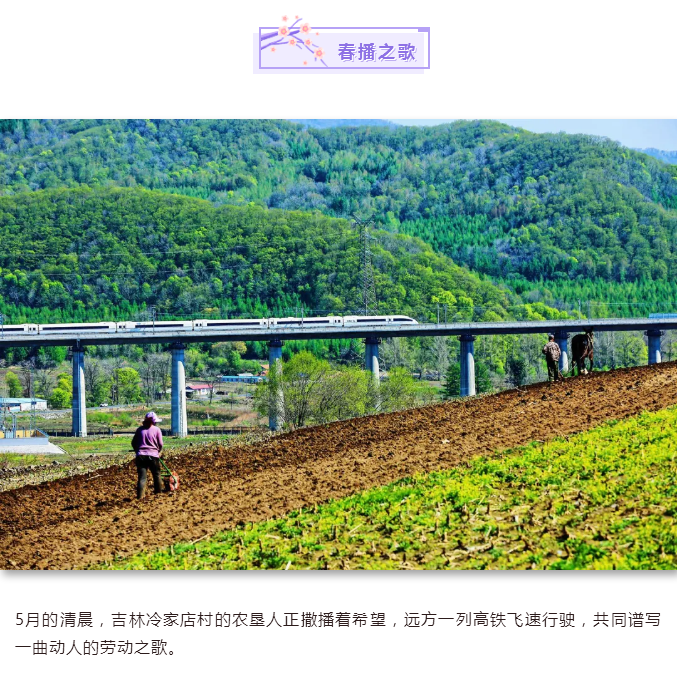 C:\Users\Administrator\Desktop\新建文件夹 (2)\春播之歌.png