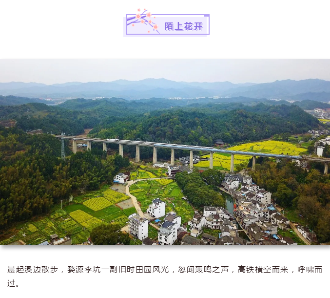 C:\Users\Administrator\Desktop\新建文件夹 (2)\陌上花开.png