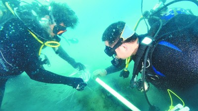 C:\Users\Administrator\Desktop\新建文件夹 (3)\6.jpg