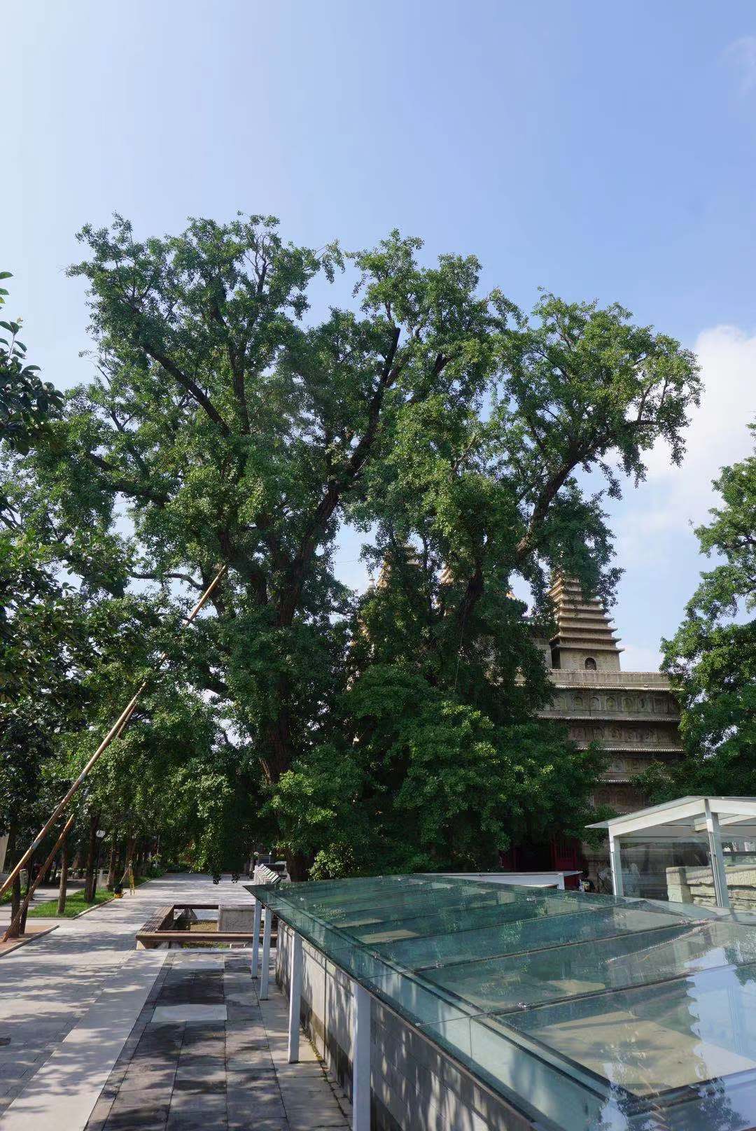 e88fb9ccba02318e09fae08aa94ef30.jpg e88fb9ccba02318e09fae08aa94ef30.jpg