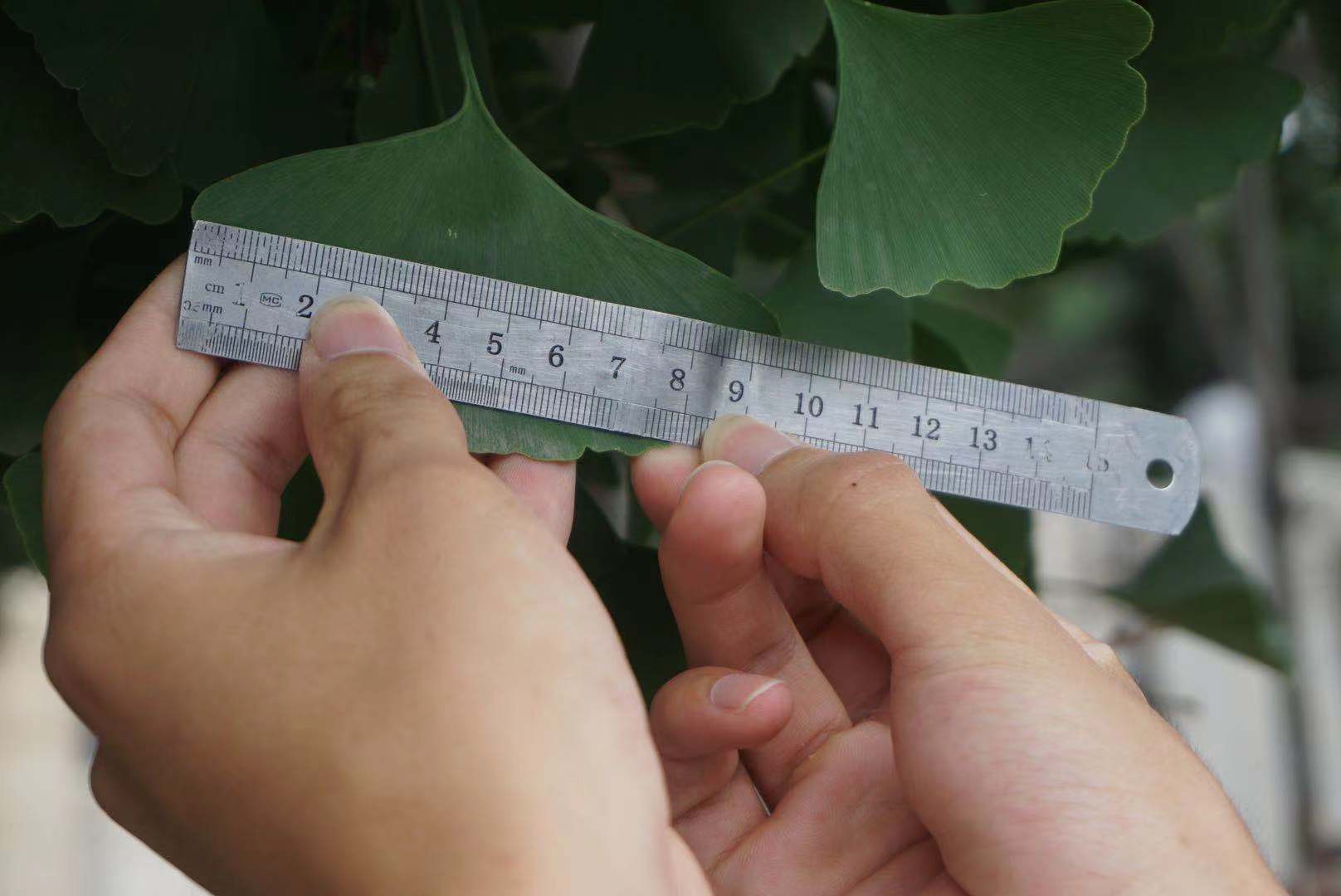 5fef109182272b2b8bee6178575f3ff.jpg 5fef109182272b2b8bee6178575f3ff.jpg