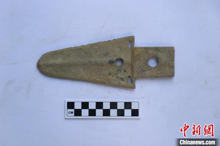 出土的青铜戈。 成都文物考古研究院供图。 出土的青铜戈。 成都文物考古研究院供图。