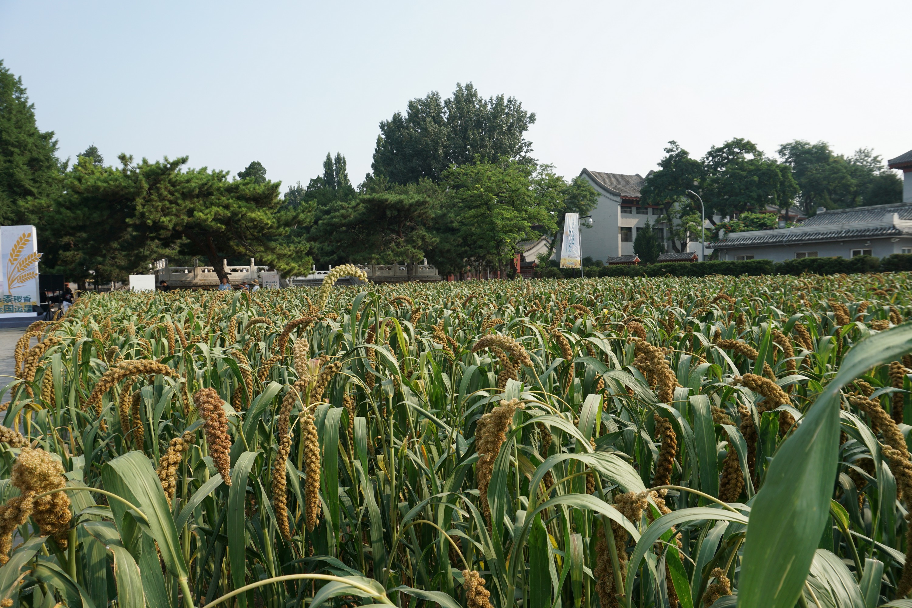 4b0d2875421093224217110c44cb210.jpg 4b0d2875421093224217110c44cb210.jpg